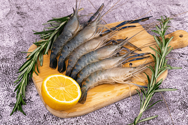 Top View Fish