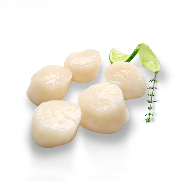 Coquille Vlees IQF 10/20