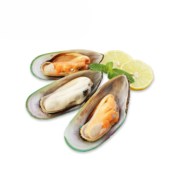 Green Shell Mossel