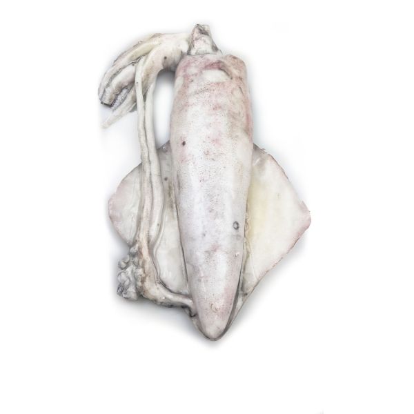 Frozen Pijlinktvis 500-1000g
