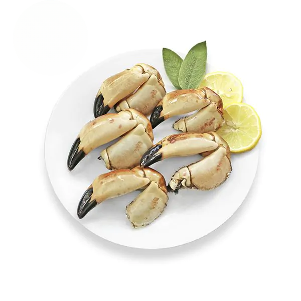 Noordzee Krabbenscharen Mix