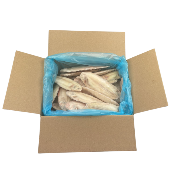 Frozen Sliptong Zonder Vel