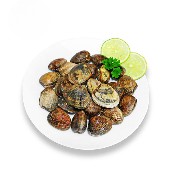 Vongole XXL
