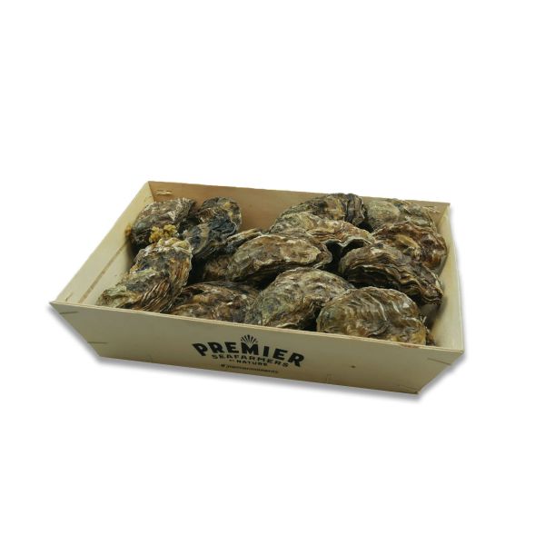 Zeeuwse Oesters Nr.2 25stuks