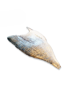 Dorade Filet 100-140