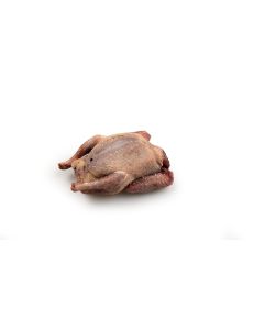 Wilde Duif Zonder Kop 320-360gram