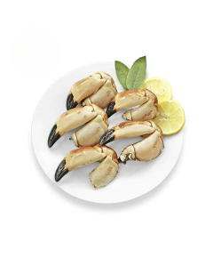 Noordzee Krabbenscharen Mix