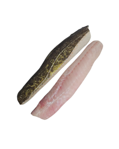 Kabeljauw Haas Met Vel