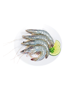 Vannamei Garnalen Met Kop En Schaal