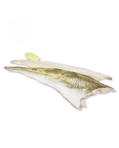 Kabeljauw filet met vel