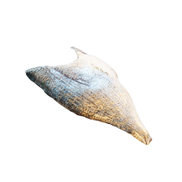  Dorade filet 100-140