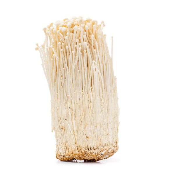 Enoki