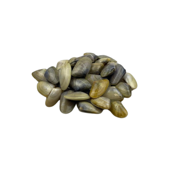 Telline