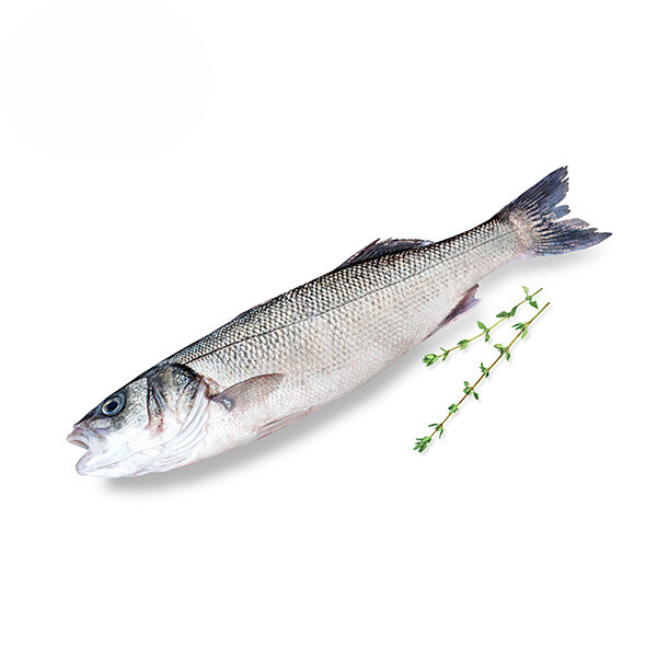 Zeebaars klein 