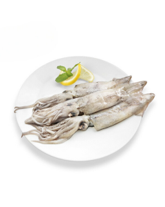 California squid