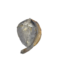 Gedroogde corvina