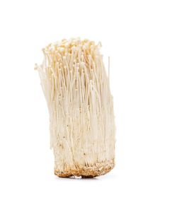 Enoki