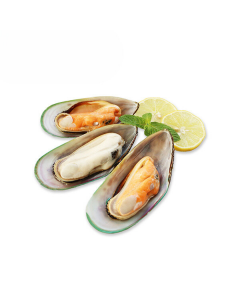 Green shell mossel