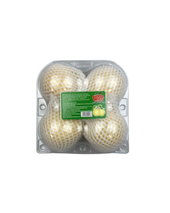 Chinese Peren   