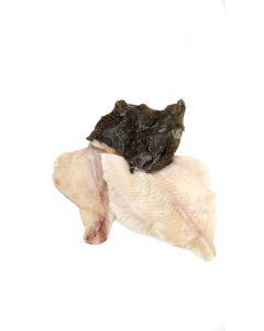 Tarbotfilet 