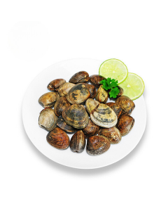 Vongole XXL