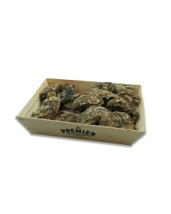 Zeeuwse oesters Nr.2 25stuks