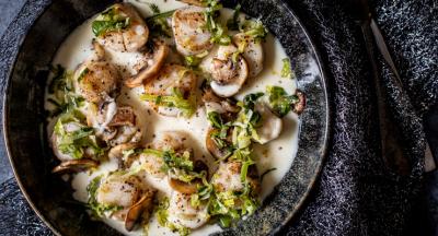 Coquilles in champagnesaus