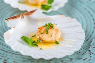Zo bereid je coquilles als een chef: tips & recepten met verse coquilles van Xmall