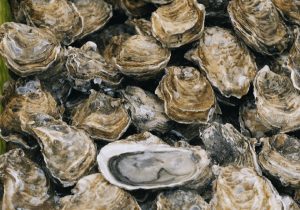 rust Ontwarren salaris Drie manieren om overheerlijke oesters te maken - Xmall.nl