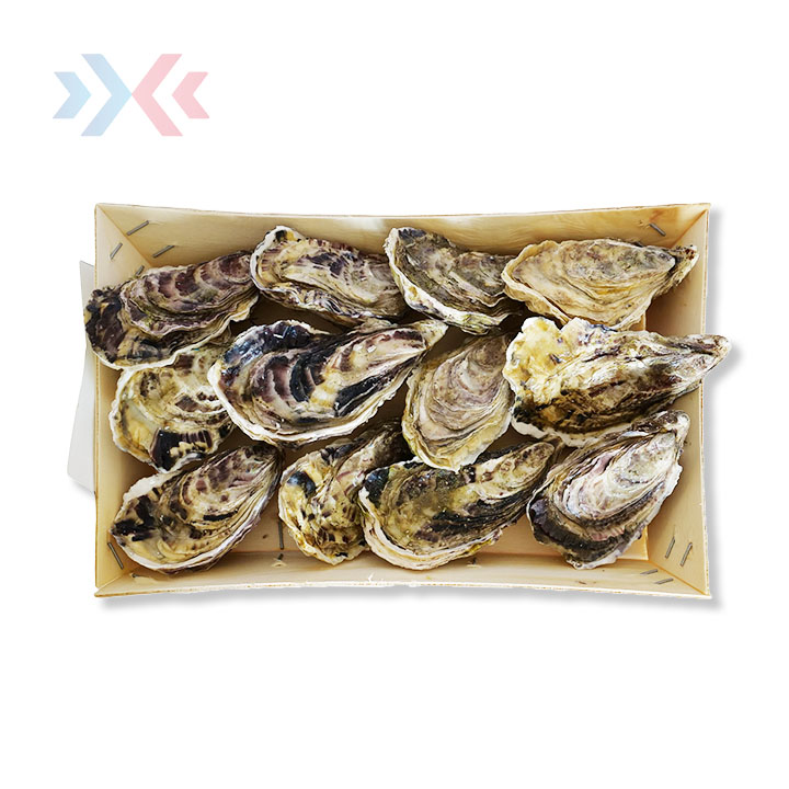 Franse-oesters-nr-2-12-stuks_Xmall.jpg
