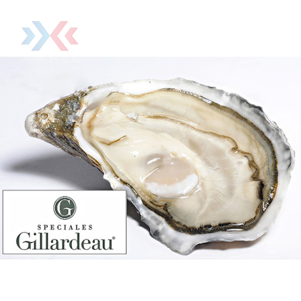 Gillardeau oester nr.3 12st-2